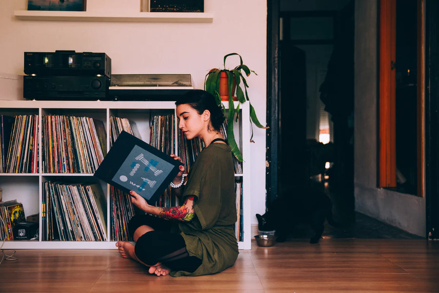  Compatibilité de la platine vinyle TRIANGLE